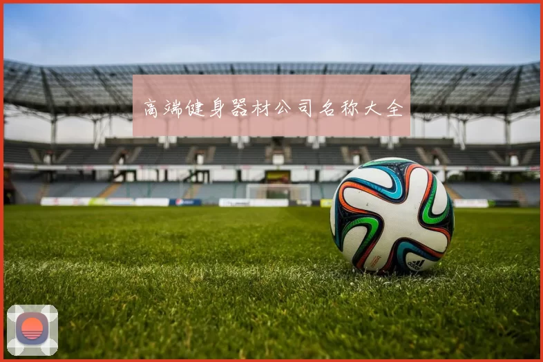高端健身器材公司名称大全