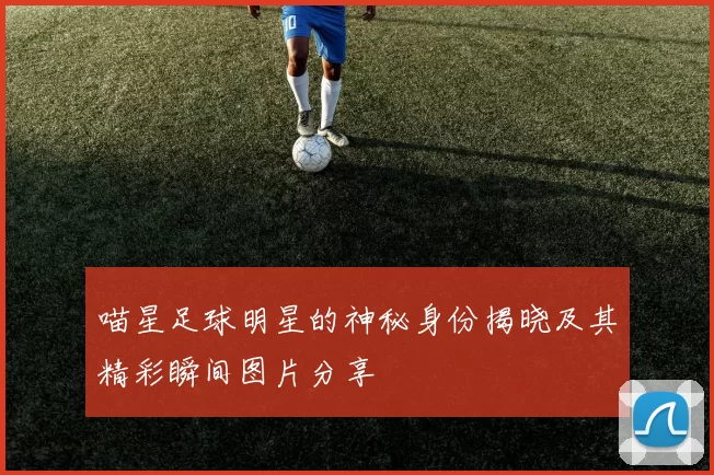喵星足球明星的神秘身份揭晓及其精彩瞬间图片分享