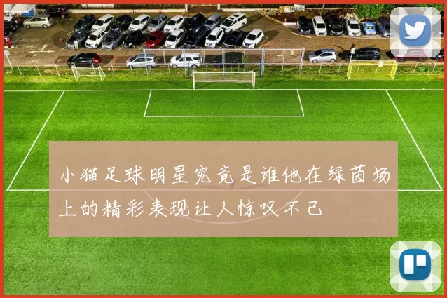 小猫足球明星究竟是谁他在绿茵场上的精彩表现让人惊叹不已