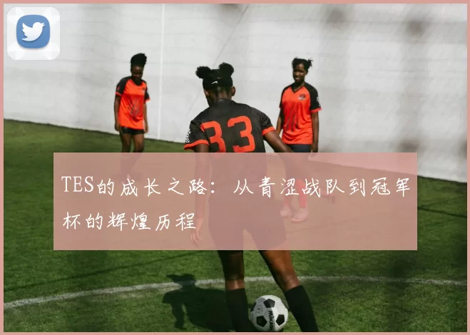 TES的成长之路：从青涩战队到冠军杯的辉煌历程