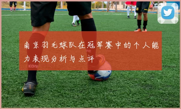 南京羽毛球队在冠军赛中的个人能力表现分析与点评