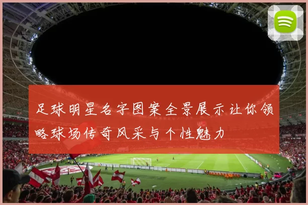 足球明星名字图案全景展示让你领略球场传奇风采与个性魅力