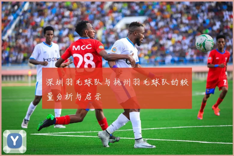 深圳羽毛球队与杭州羽毛球队的较量分析与启示