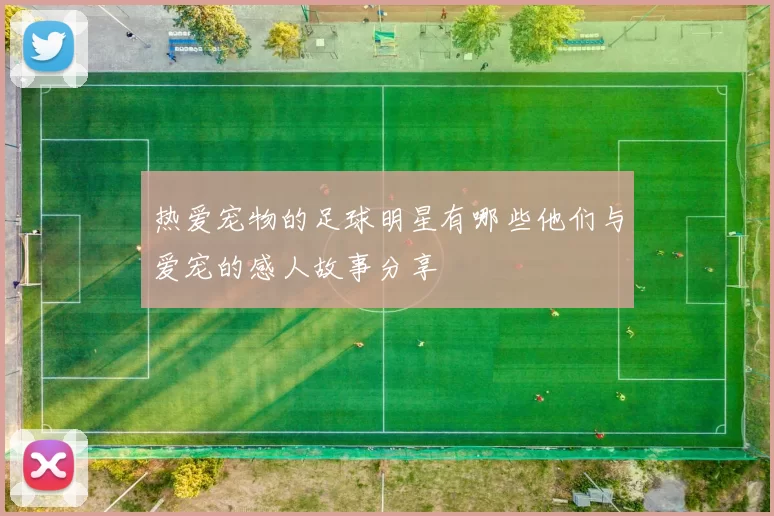 热爱宠物的足球明星有哪些他们与爱宠的感人故事分享
