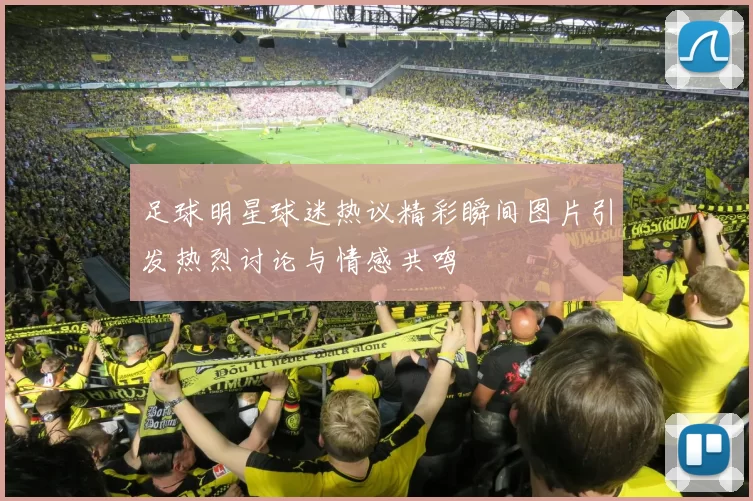足球明星球迷热议精彩瞬间图片引发热烈讨论与情感共鸣