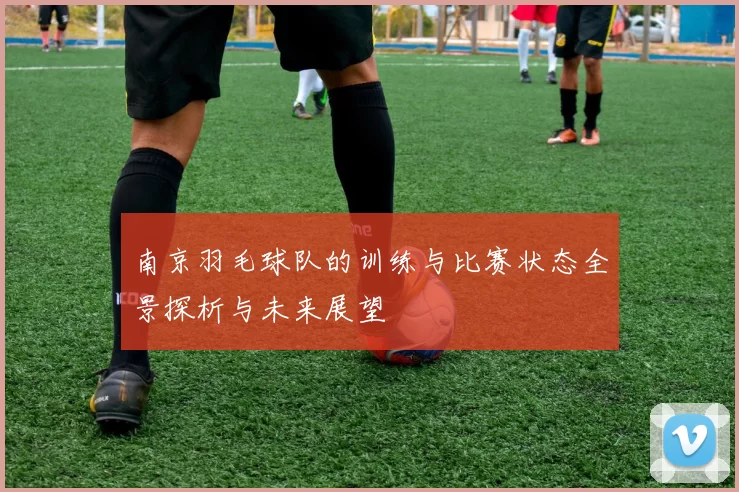 南京羽毛球队的训练与比赛状态全景探析与未来展望