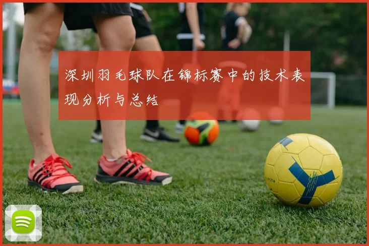 深圳羽毛球队在锦标赛中的技术表现分析与总结