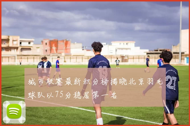 城市联赛最新积分榜揭晓北京羽毛球队以75分稳居第一名