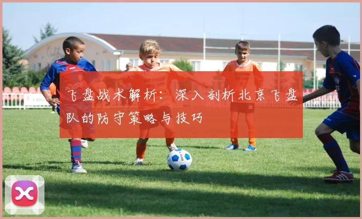 飞盘战术解析：深入剖析北京飞盘队的防守策略与技巧
