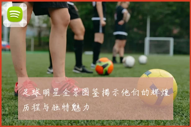 足球明星全景图鉴揭示他们的辉煌历程与独特魅力