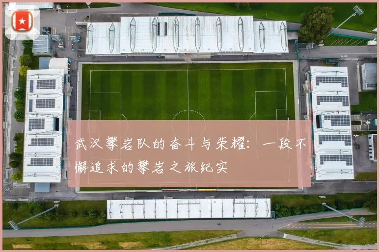 武汉攀岩队的奋斗与荣耀：一段不懈追求的攀岩之旅纪实