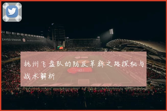 杭州飞盘队的防反革新之路探秘与战术解析