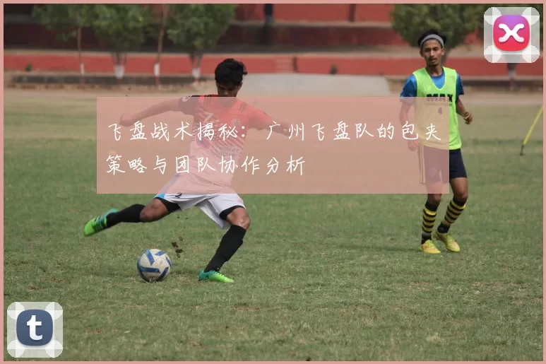 飞盘战术揭秘：广州飞盘队的包夹策略与团队协作分析