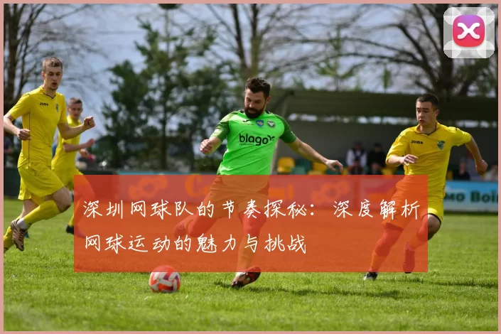 深圳网球队的节奏探秘：深度解析网球运动的魅力与挑战