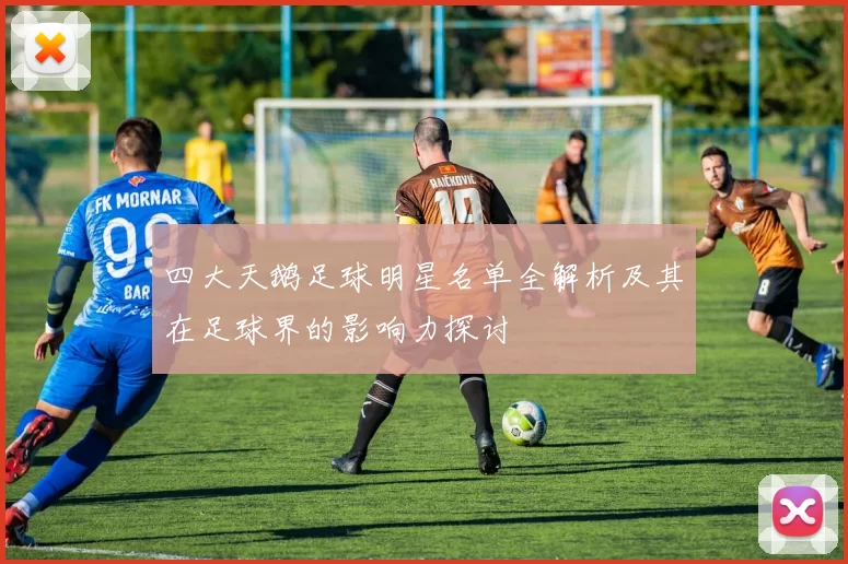 四大天鹅足球明星名单全解析及其在足球界的影响力探讨