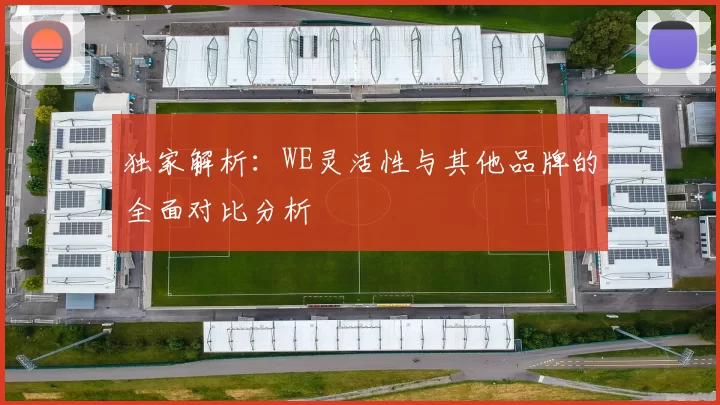 独家解析：WE灵活性与其他品牌的全面对比分析