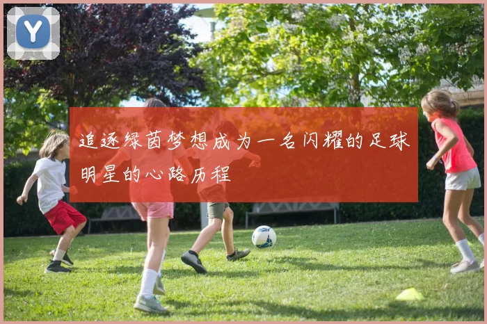 追逐绿茵梦想成为一名闪耀的足球明星的心路历程