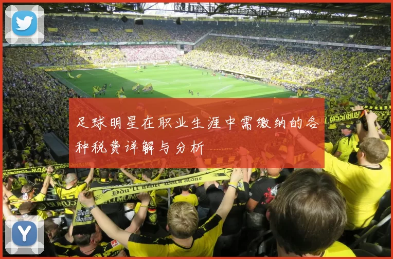 足球明星在职业生涯中需缴纳的各种税费详解与分析