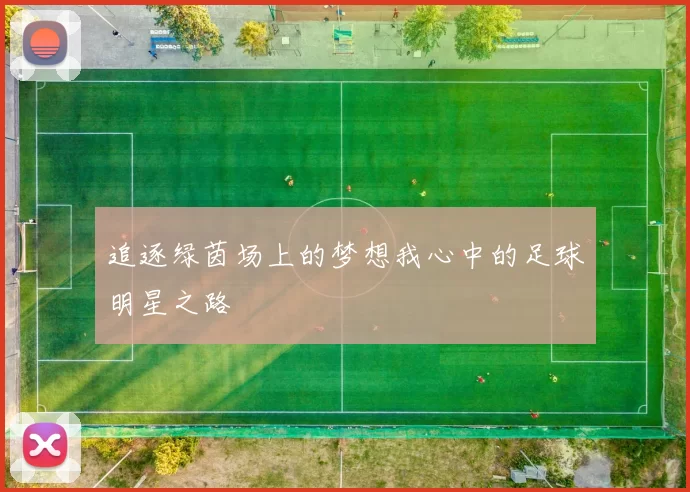 追逐绿茵场上的梦想我心中的足球明星之路