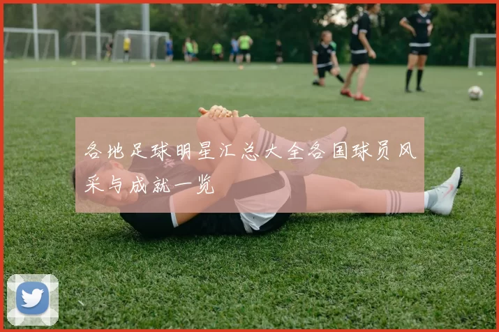 各地足球明星汇总大全各国球员风采与成就一览