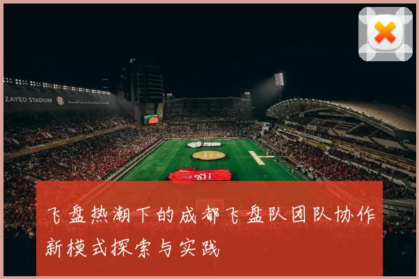 飞盘热潮下的成都飞盘队团队协作新模式探索与实践