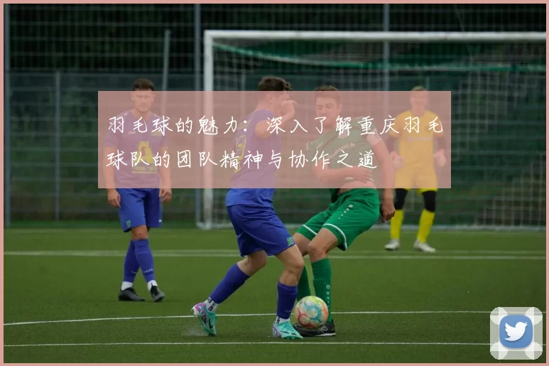 羽毛球的魅力：深入了解重庆羽毛球队的团队精神与协作之道