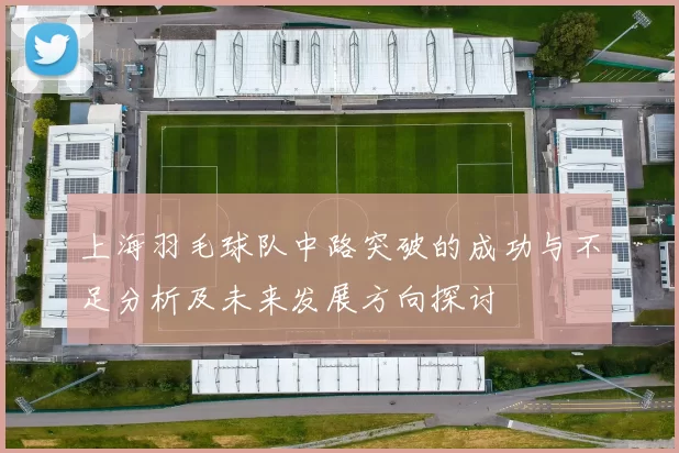上海羽毛球队中路突破的成功与不足分析及未来发展方向探讨