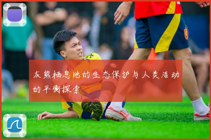 灰熊栖息地的生态保护与人类活动的平衡探索