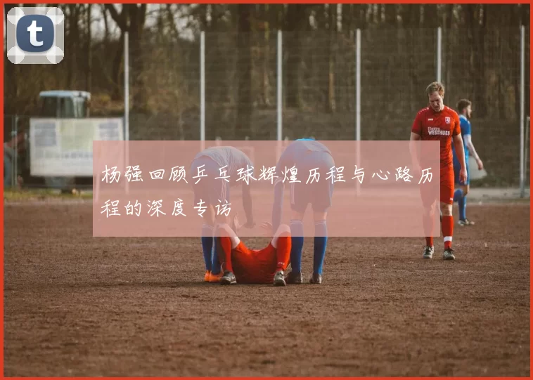 杨强回顾乒乓球辉煌历程与心路历程的深度专访