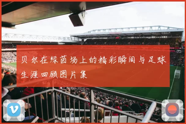 贝尔在绿茵场上的精彩瞬间与足球生涯回顾图片集