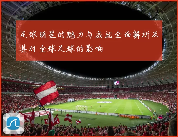 足球明星的魅力与成就全面解析及其对全球足球的影响