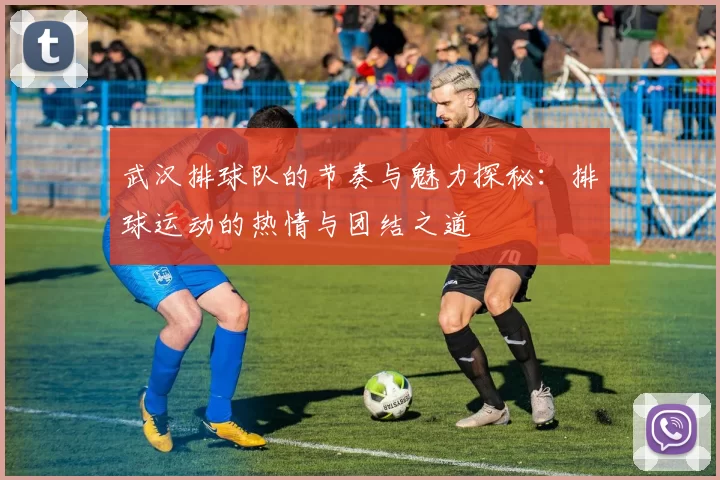 武汉排球队的节奏与魅力探秘：排球运动的热情与团结之道