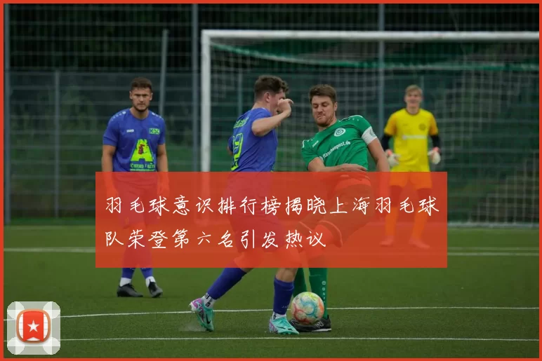 羽毛球意识排行榜揭晓上海羽毛球队荣登第六名引发热议