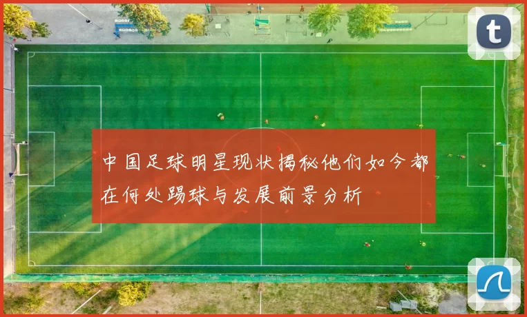 中国足球明星现状揭秘他们如今都在何处踢球与发展前景分析