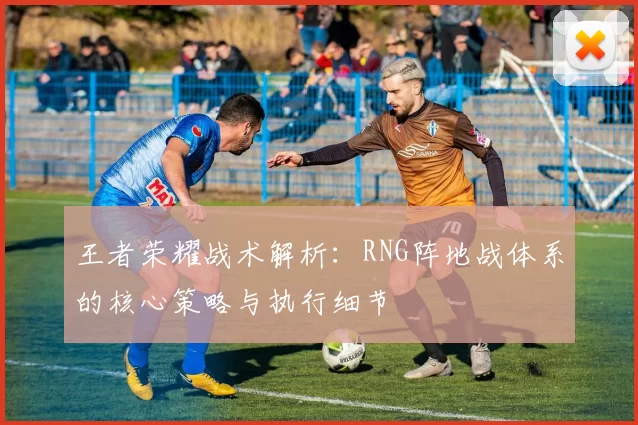 王者荣耀战术解析：RNG阵地战体系的核心策略与执行细节